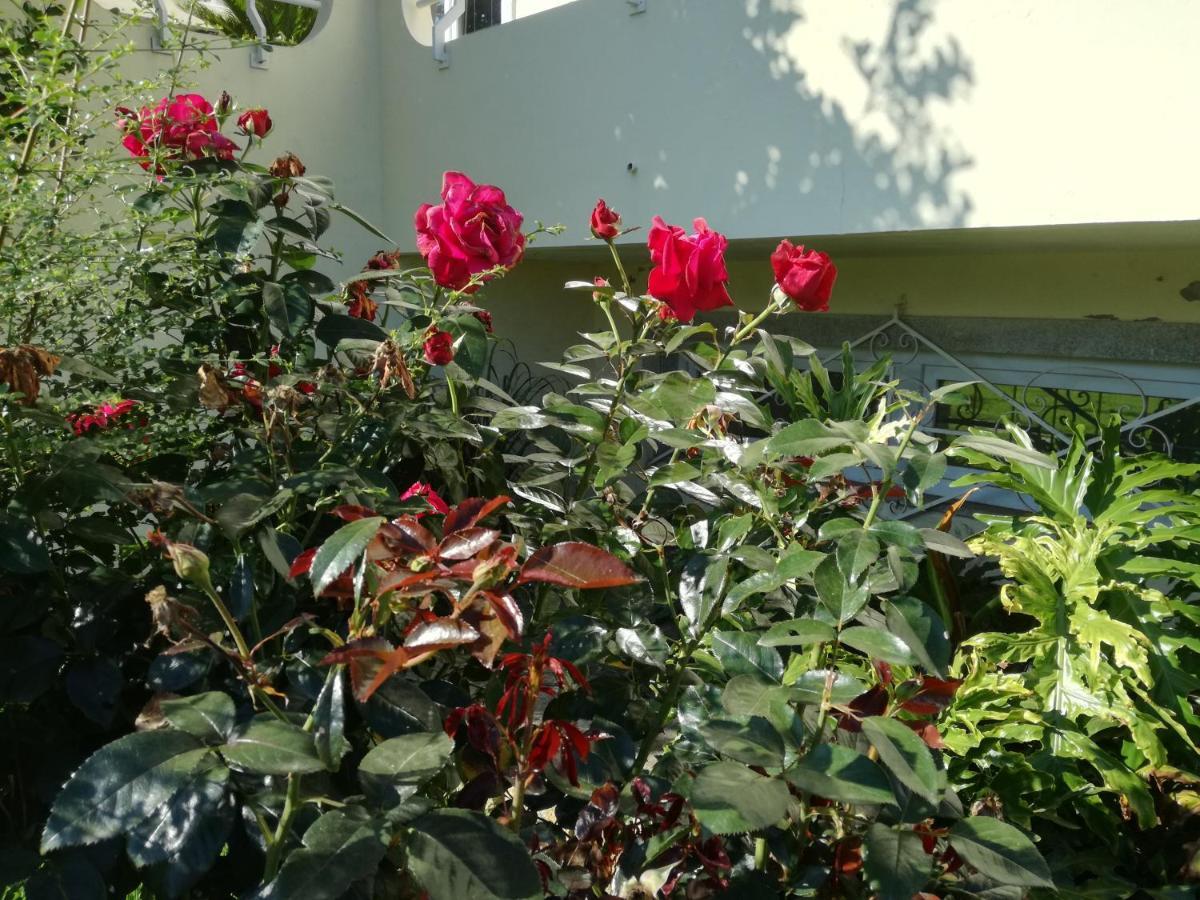 Casa Do Riacho *