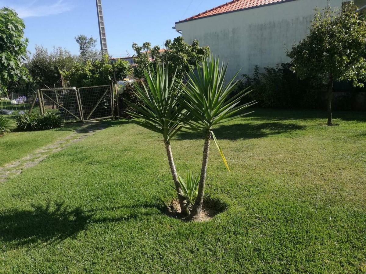 Homestay Casa Do Riacho
